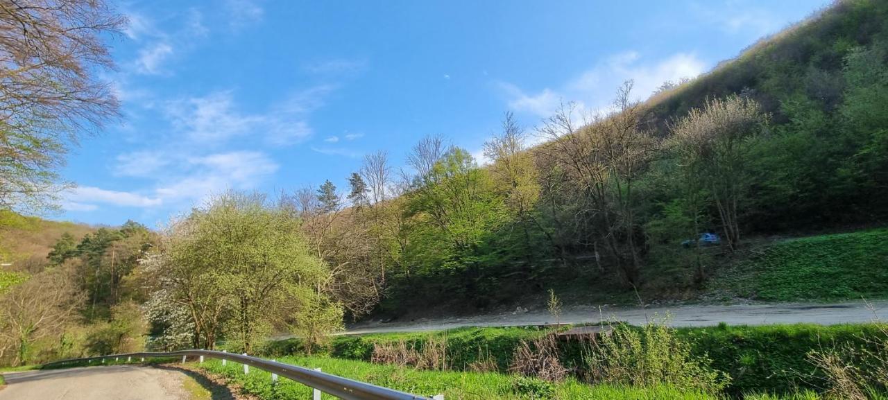 Hos-Cegledi Vendeghaz Miskolc -Oenallo Otthon, Mely Csak Az Oenoeke Dış mekan fotoğraf