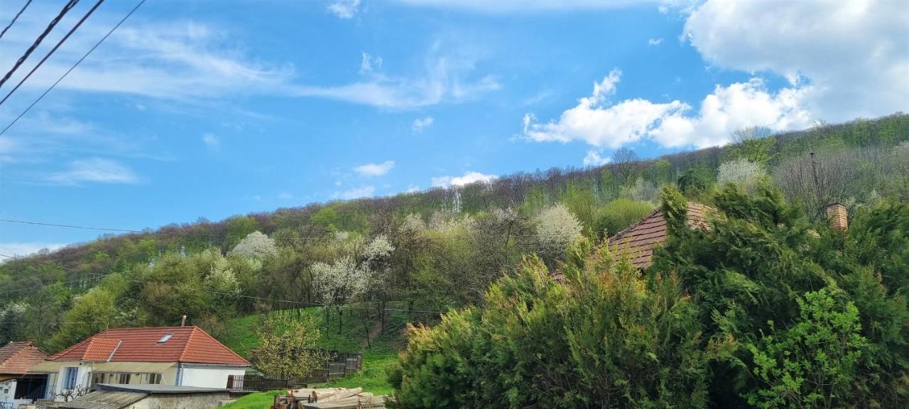 Hos-Cegledi Vendeghaz Miskolc -Oenallo Otthon, Mely Csak Az Oenoeke Dış mekan fotoğraf